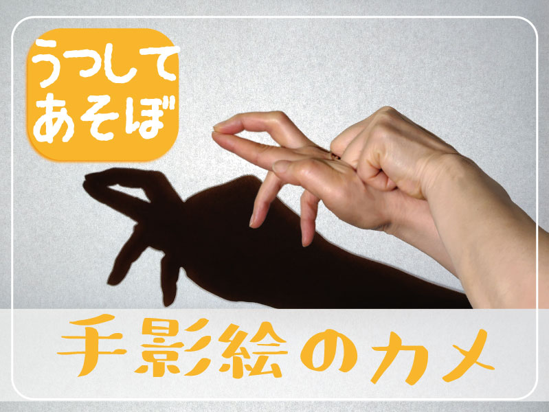 手影絵のカメの作り方